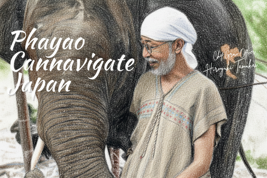 信頼できるCBDブランドを選ぶ前に確認すべき5つの記録