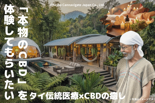タイ・パヤオに伝統医療×CBDの癒しの宿泊施設を創る | PCJ Medical Cannabis Center