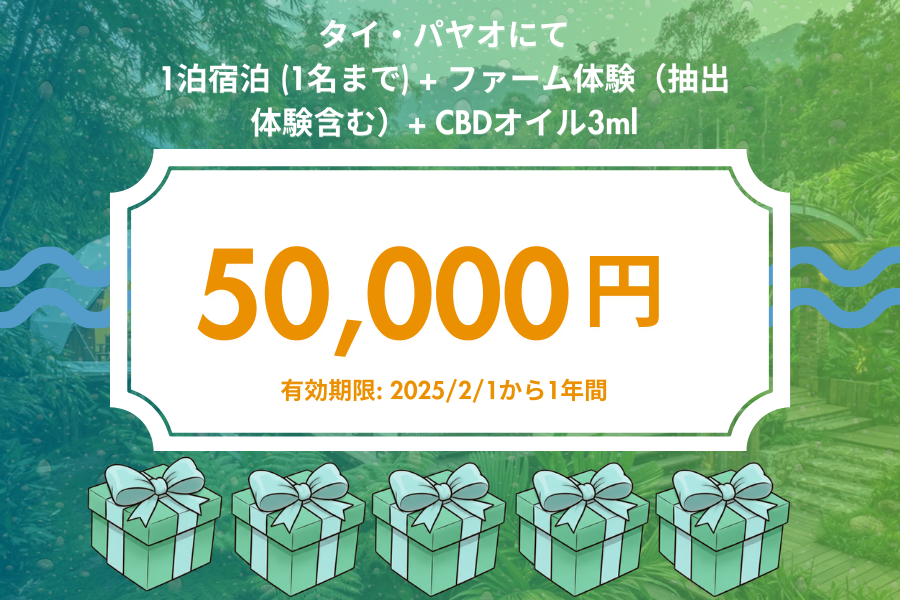 タイ・パヤオに伝統医療×CBDの癒しの宿泊施設を創る | PCJ Medical Cannabis Center