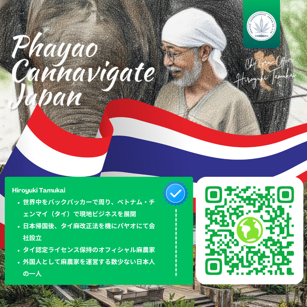 BiBi CBD 40% Oil 純度99%以上 CBDアイソレート使用｜THCフリー タイ・パヤオ 政府認可農家産｜第三者機関検査済み